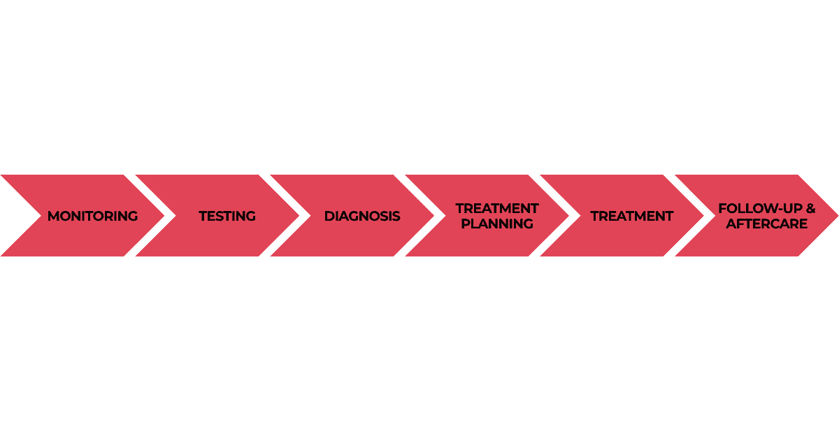 Patient's Clinical Route